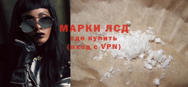 шишки Беломорск