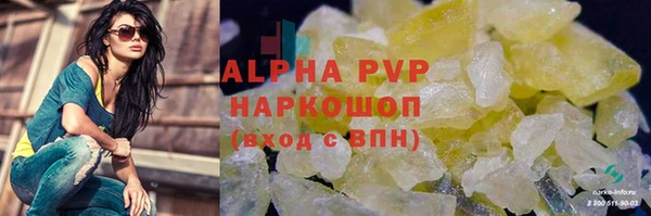 шишки Беломорск