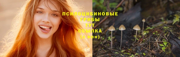2c-b Белокуриха