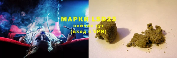 шишки Беломорск