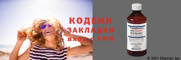 шишки Беломорск