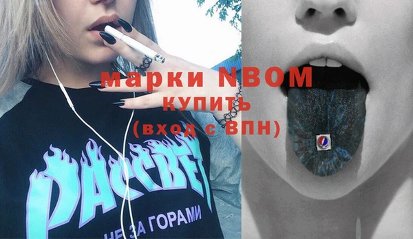 шишки Беломорск