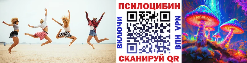 хочу Горнозаводск Псилоцибиновые грибы Psilocybe